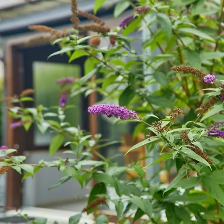 Holiday home Haus Am Kurpark